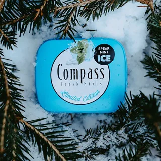 Compass Mini Spearmint Ice Sugar-Free Mints - 7 g